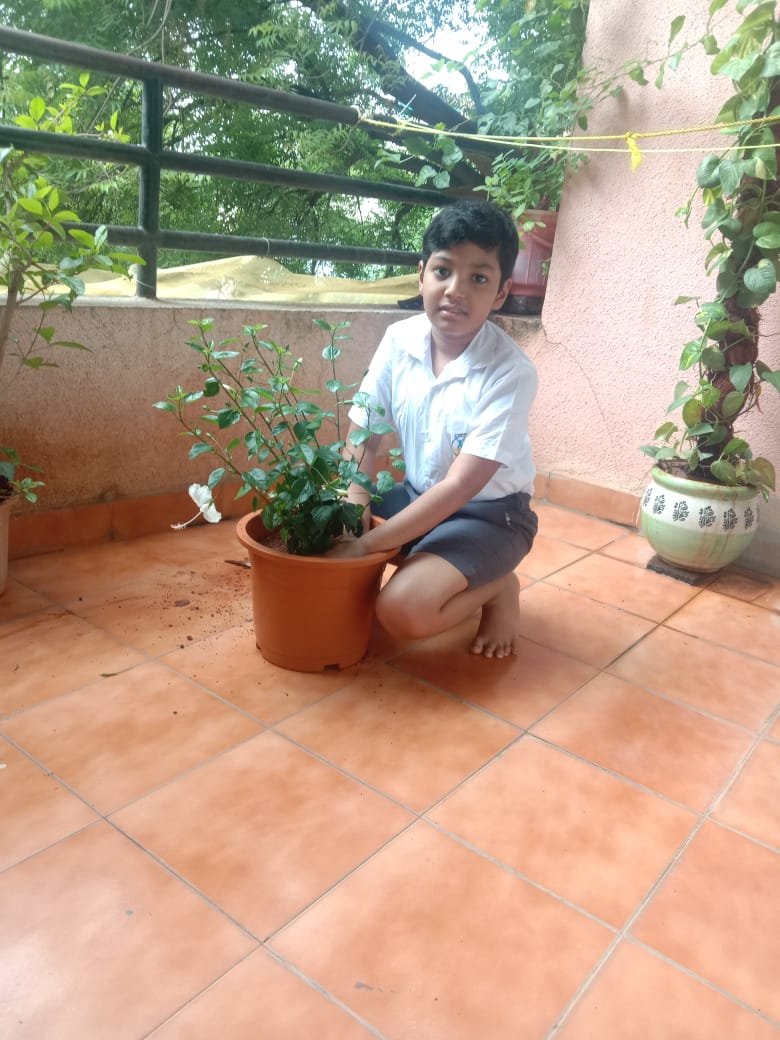 Activity image